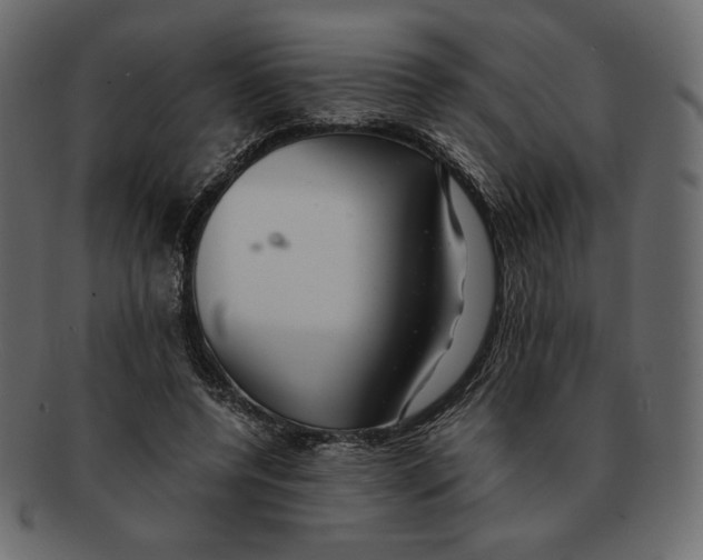X0000091920544200710031041
