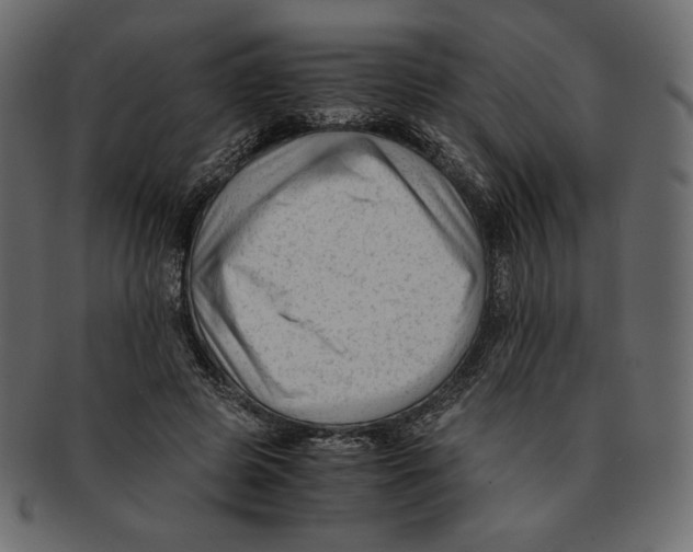 X0000091920545200710031041