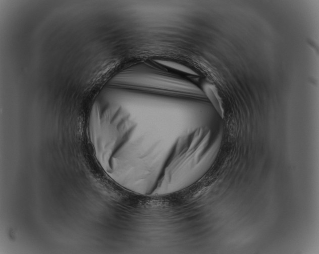 X0000091920546200710031041
