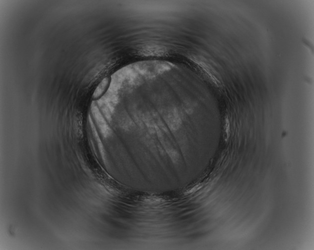 X0000091920547200710031041