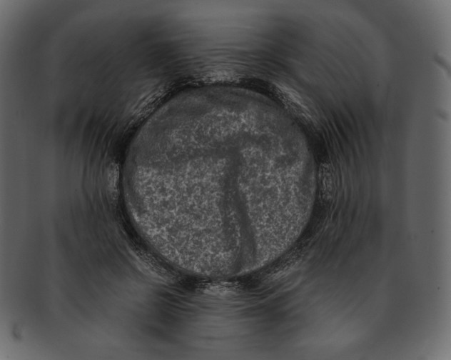 X0000091920550200710031041