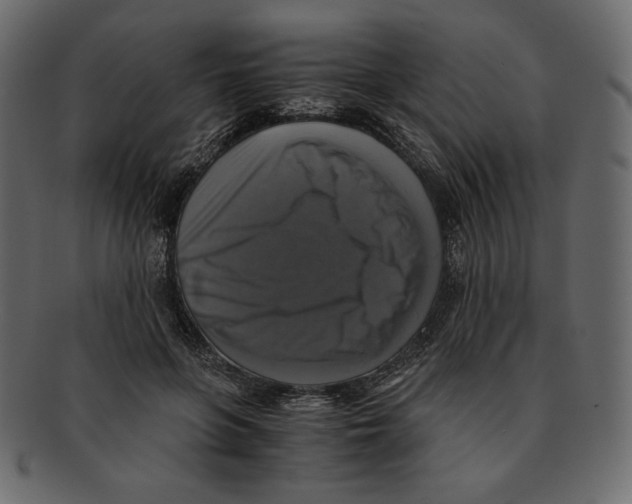 X0000091920551200710031041