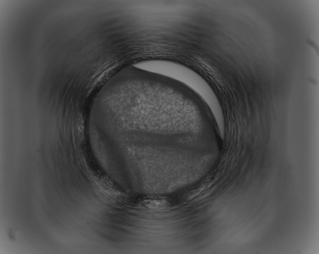 X0000091920552200710031041