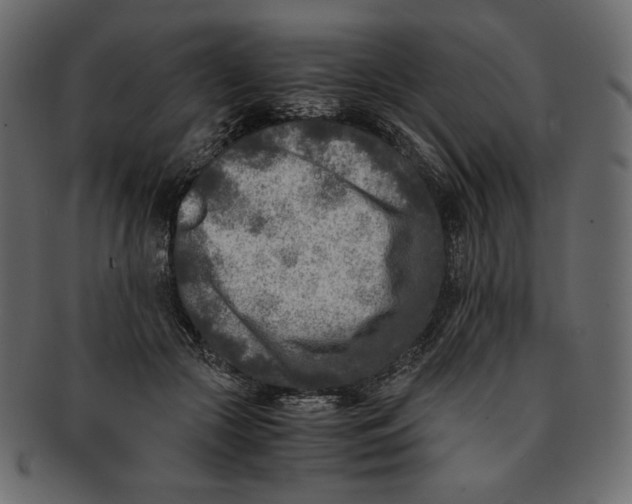 X0000091920553200710031041