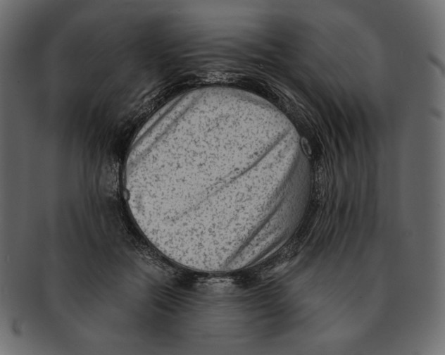 X0000091920554200710031041