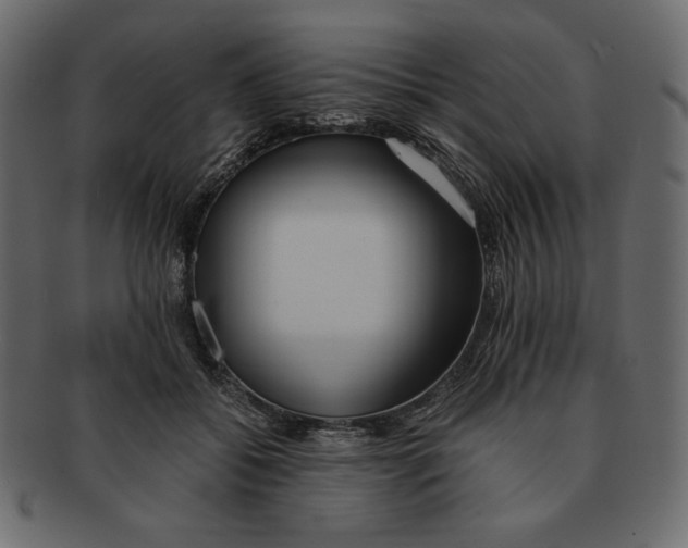 X0000091920556200710031041