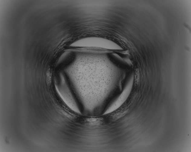 X0000091920558200710031041
