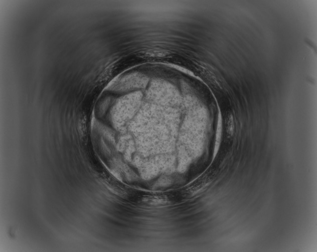 X0000091920559200710031041