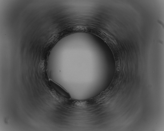 X0000091920560200710031041