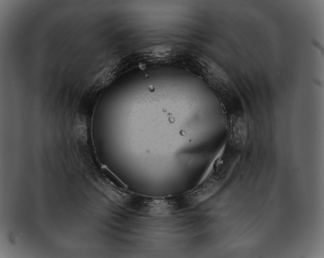 X0000091920562200710031041