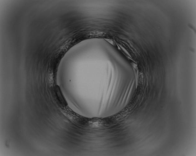 X0000091920564200710031041