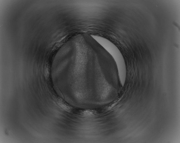 X0000091920566200710031041