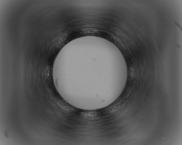 X0000091920567200710031041
