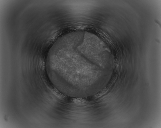 X0000091920568200710031041