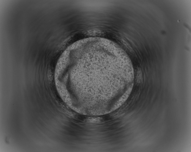 X0000091920569200710031041