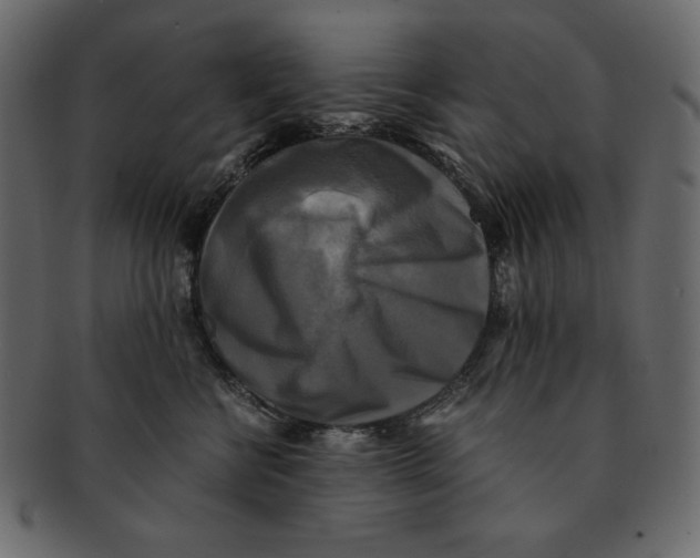 X0000091920570200710031041