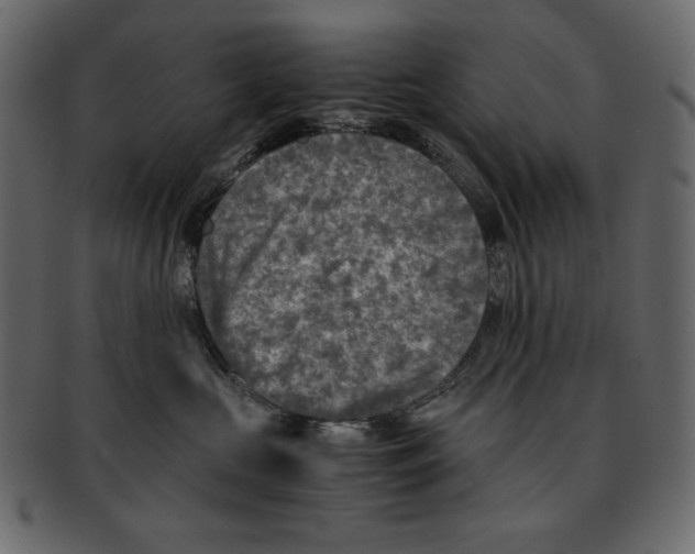 X0000091920573200710031041