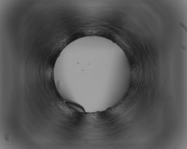 X0000091920574200710031041