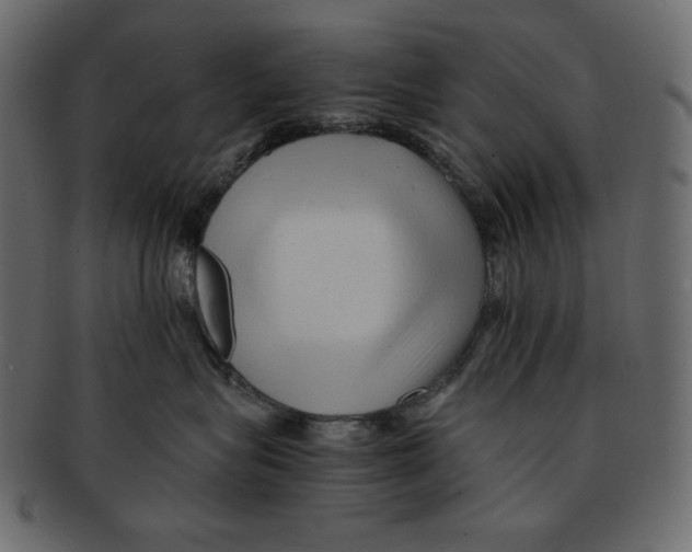 X0000091920575200710031042