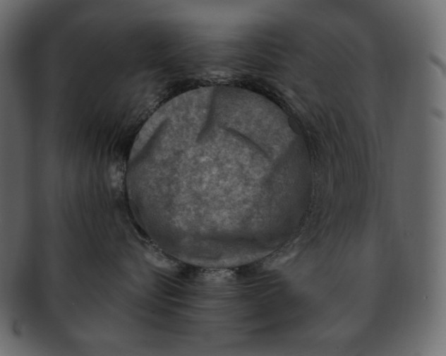 X0000091920576200710031042
