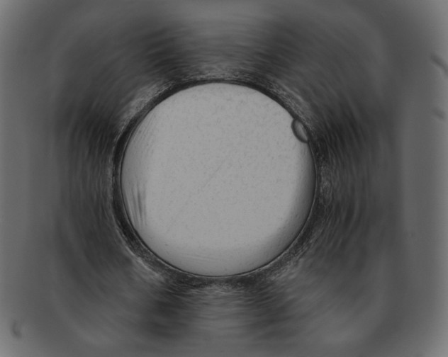X0000091920578200710031041