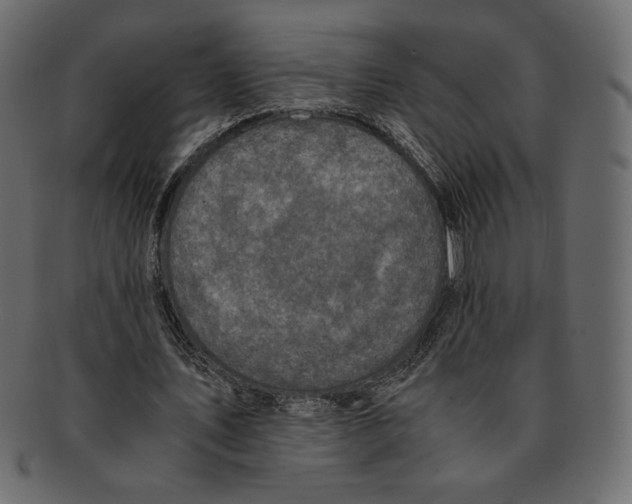 X0000091920579200710031041