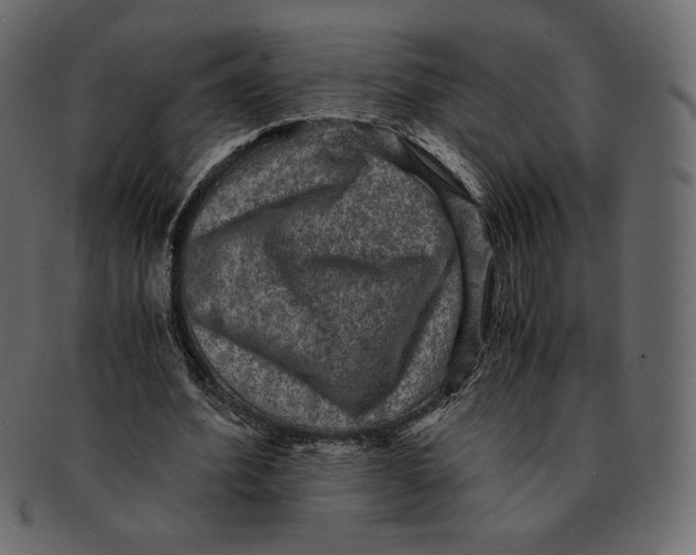X0000091920580200710031041