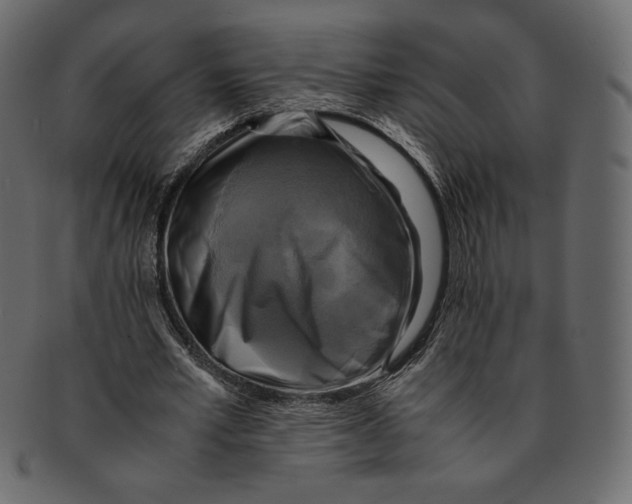 X0000091920581200710031041