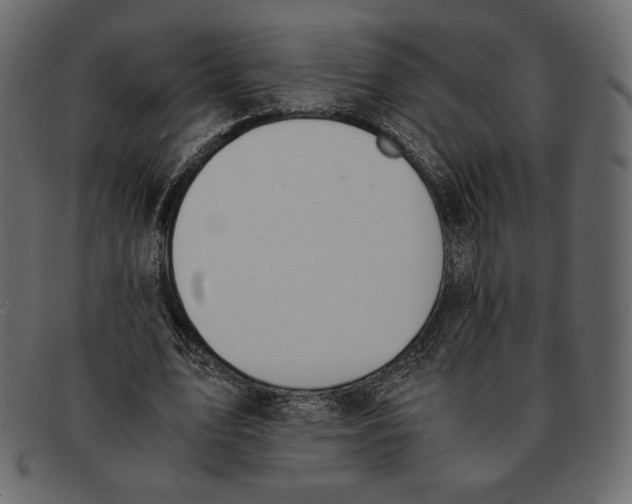 X0000091920583200710031041