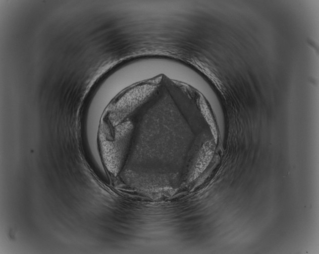 X0000091920584200710031041