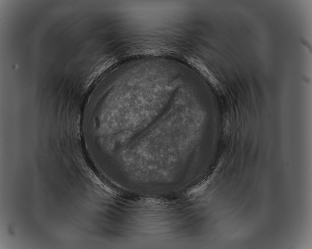 X0000091920585200710031041