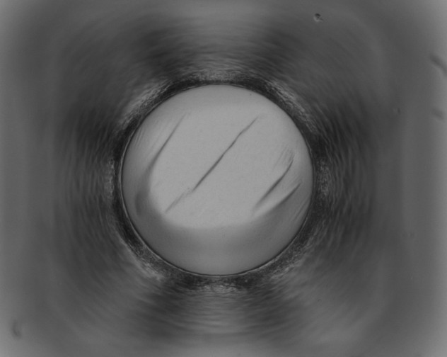 X0000091920586200710031041