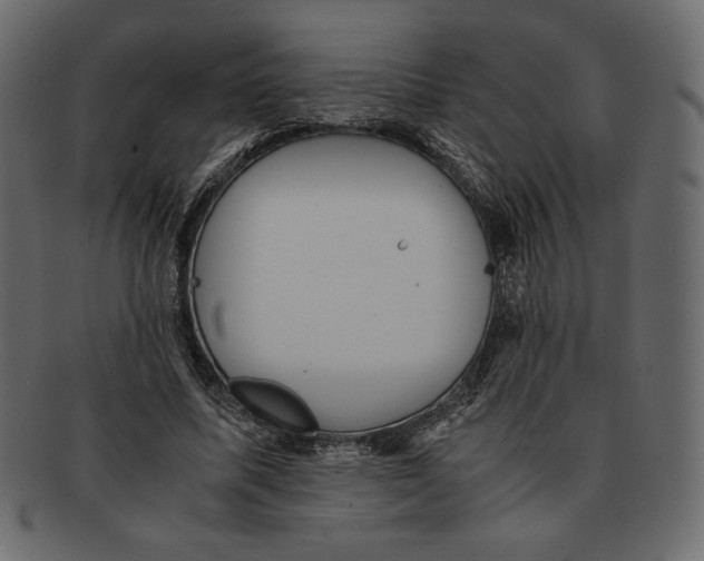 X0000091920587200710031041