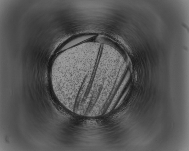 X0000091920588200710031041