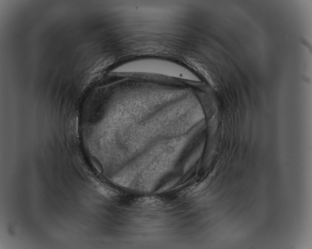 X0000091920589200710031041