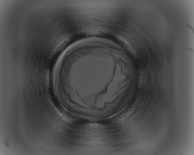 X0000091920590200710031041