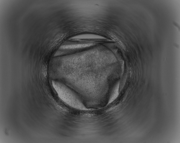 X0000091920593200710031041
