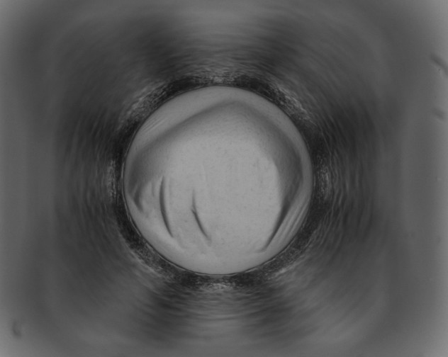 X0000091920594200710031041