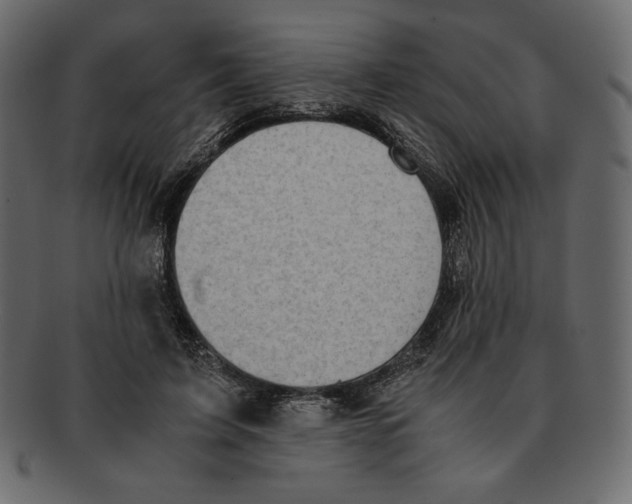 X0000091920595200710031041