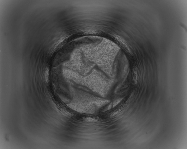 X0000091920596200710031041