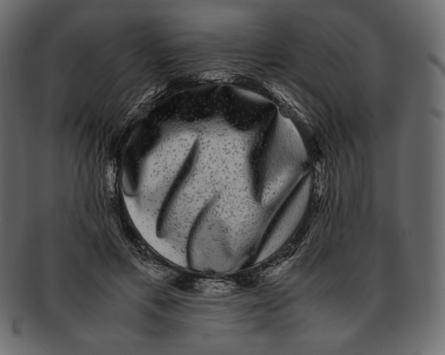 X0000091920597200710031041