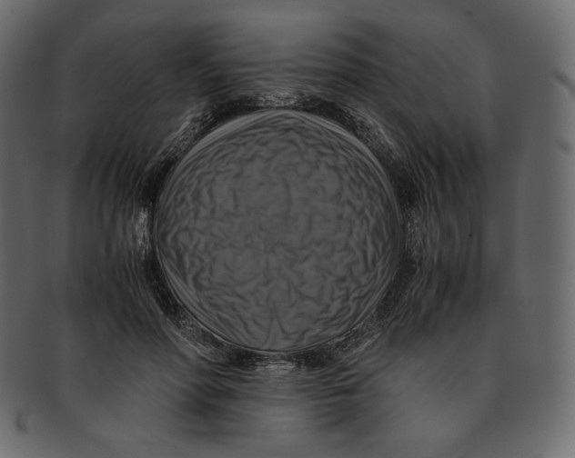 X0000091920598200710031041