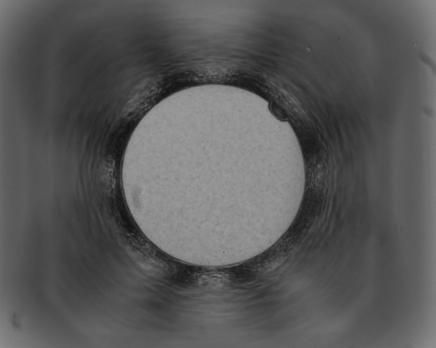 X0000091920599200710031041