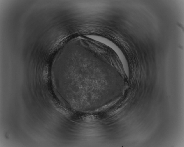 X0000091920600200710031041