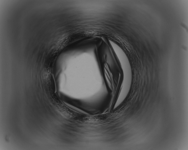 X0000091920601200710031041