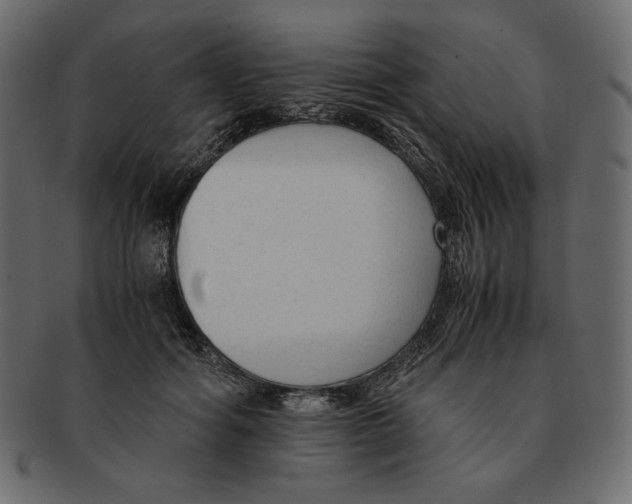 X0000091920602200710031041