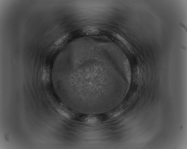 X0000091920604200710031041