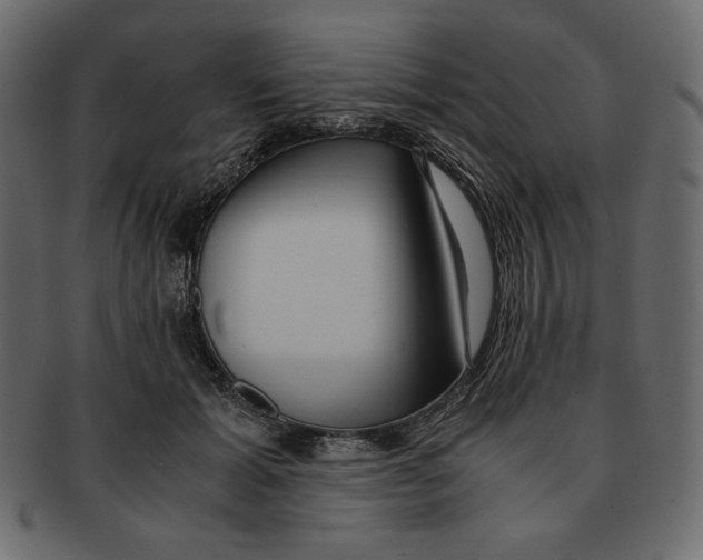X0000091920605200710031041