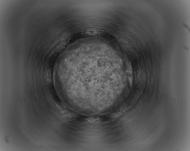 X0000091920606200710031041