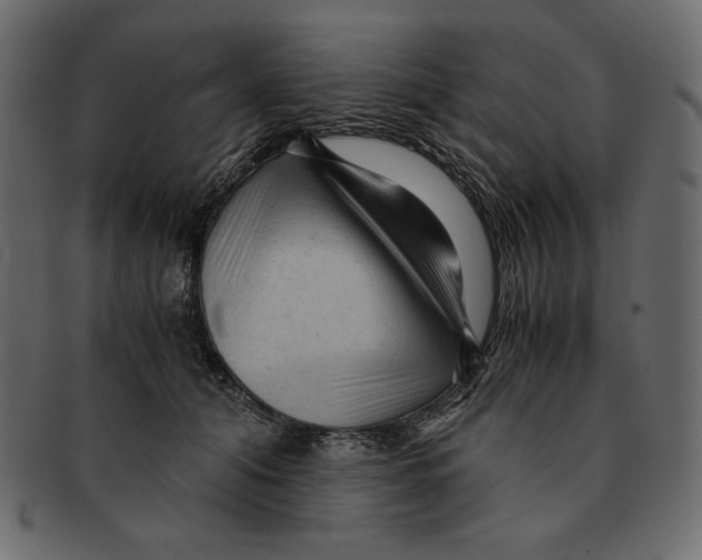 X0000091920608200710031041
